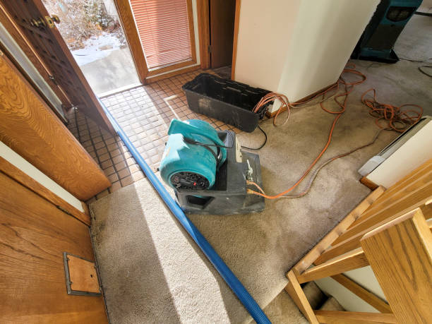 Best Water damage contractors near me  in Nanakuli, HI