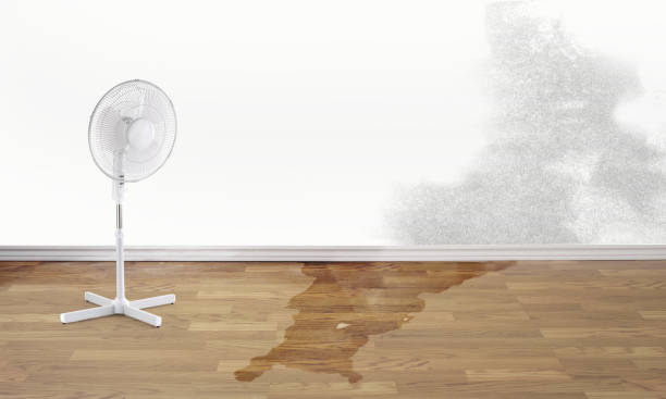 Carpet water damage restoration in HI