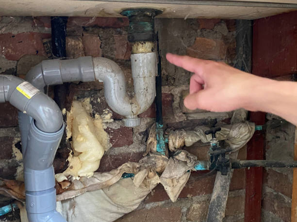 Best Local water damage restoration  in Nanakuli, HI